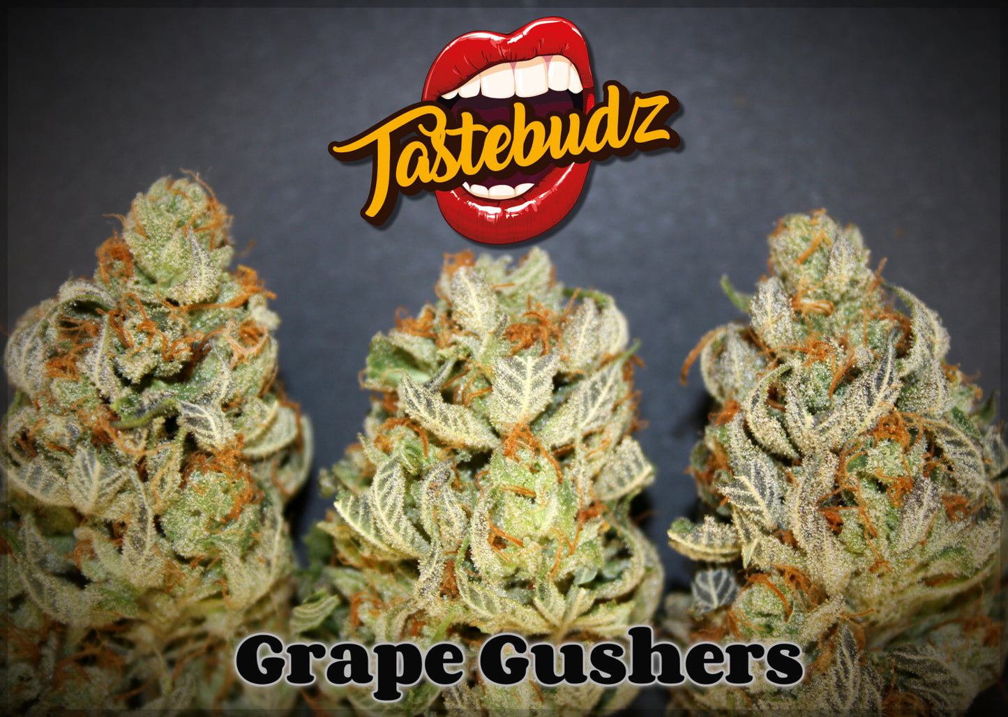 Grape Gushers