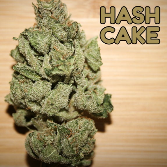 Hash Cake Feminised